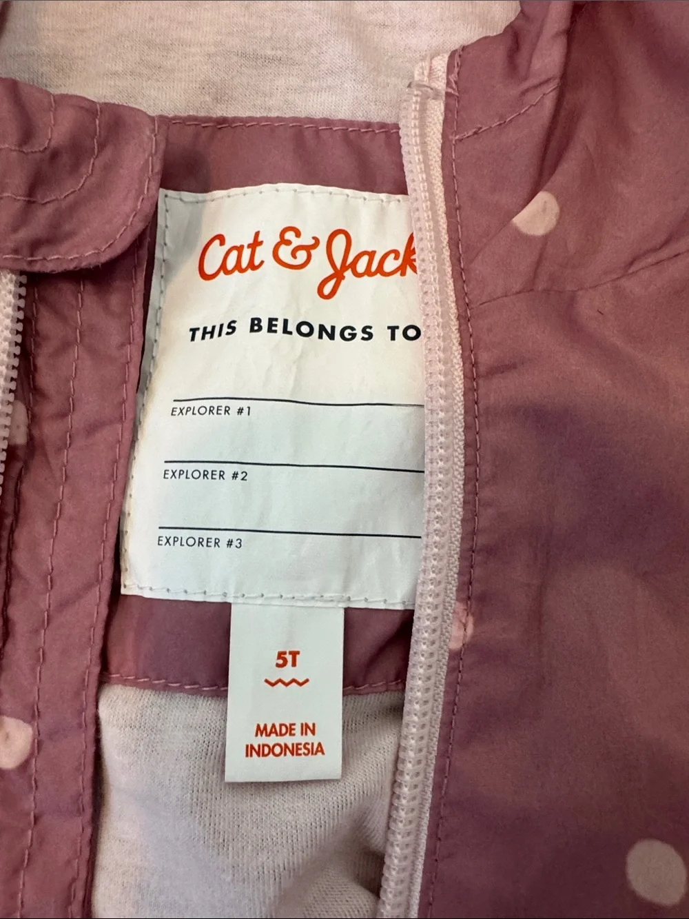 Cat & Jack two cat